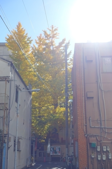 DSC00034.jpg