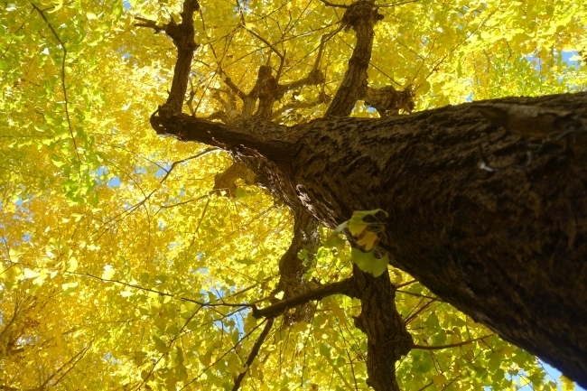 DSC00042.jpg
