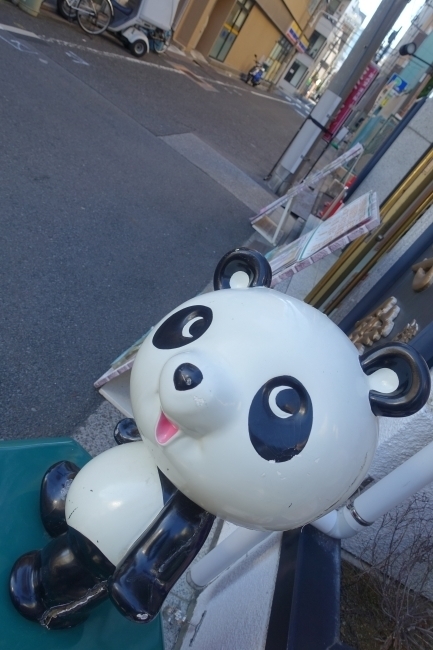 DSC00046.jpg