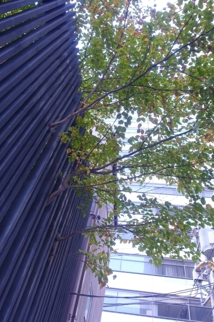 DSC00065.jpg