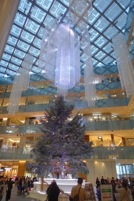 DSC00067.jpg