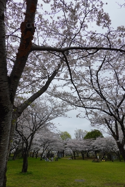 DSC00069.jpg