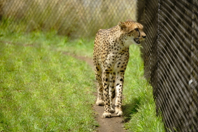 DSC00081.JPG
