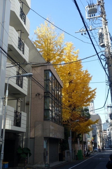 DSC00086.jpg