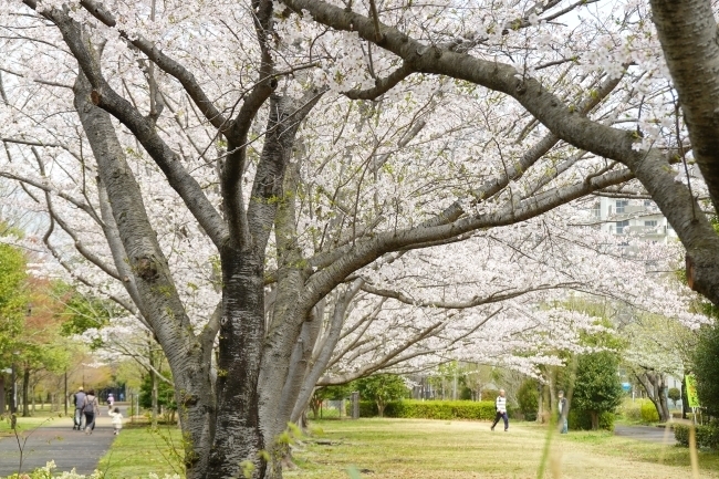 DSC00121.jpg