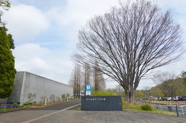 DSC00130.jpg