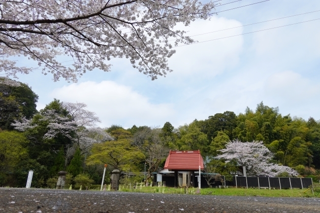 DSC00140.jpg