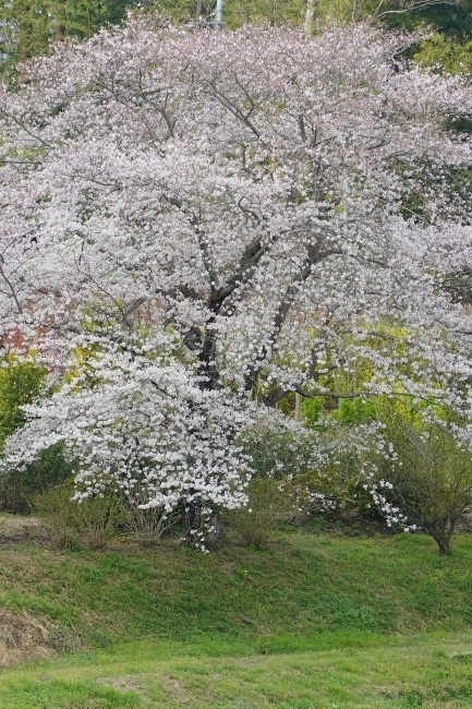 DSC00160.jpg