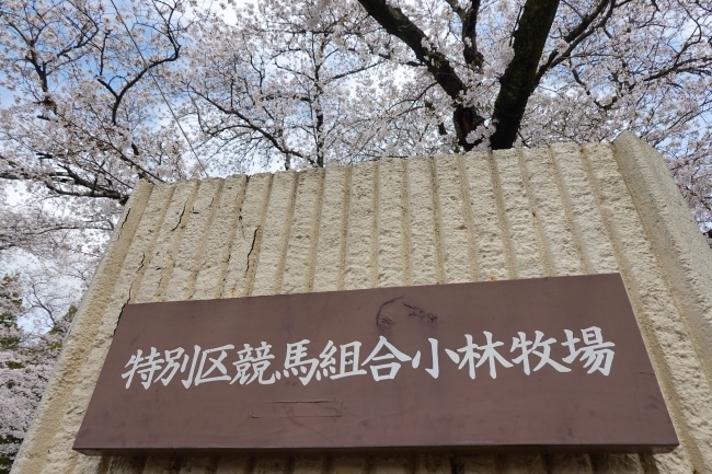 DSC00164.jpg