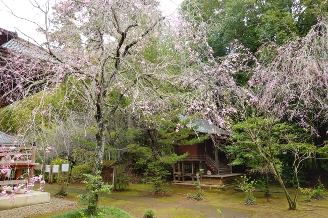 DSC00165.jpg