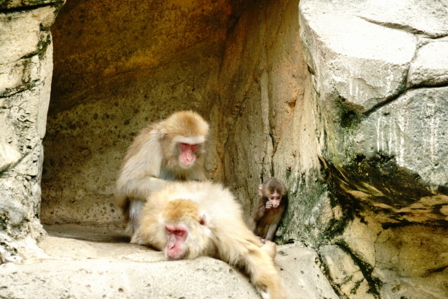 DSC00295.JPG