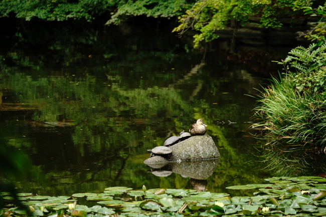DSC00303.JPG