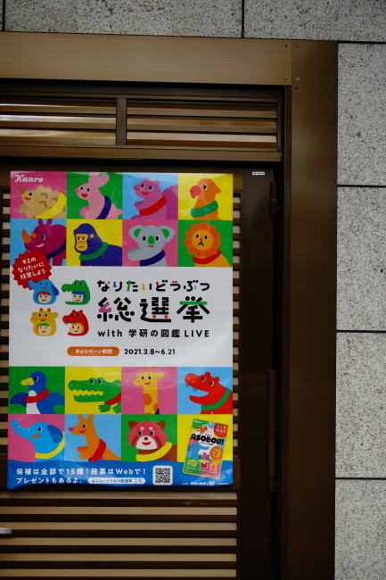 DSC00305.JPG