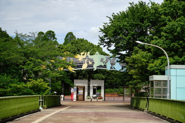 DSC00307.JPG