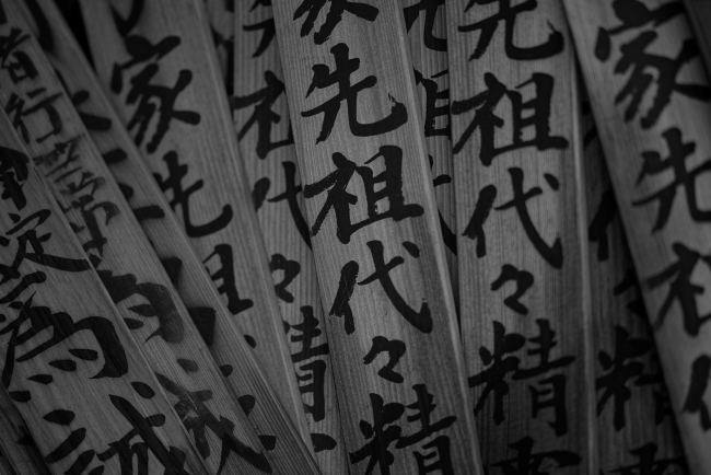 DSC00312.jpg