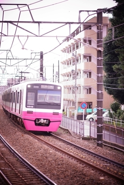 DSC00448.jpg