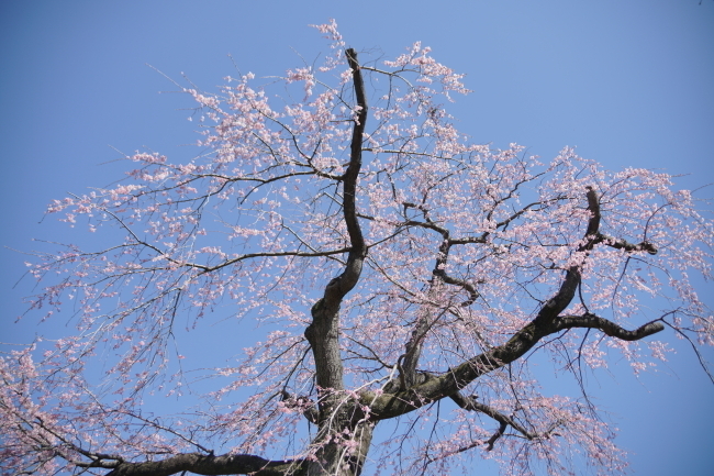 DSC00472+1.JPG