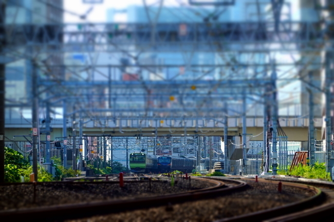 DSC00498+1.JPG