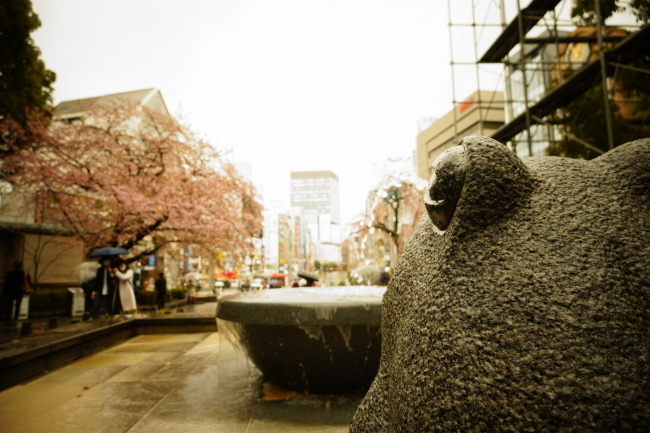 DSC00518+1.JPG