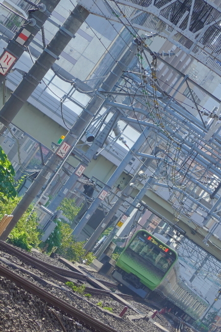 DSC00542+1.JPG