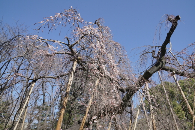 DSC00573+1.JPG