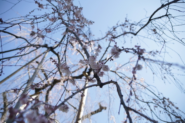 DSC00619+1.JPG