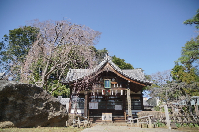 DSC00698+1.JPG