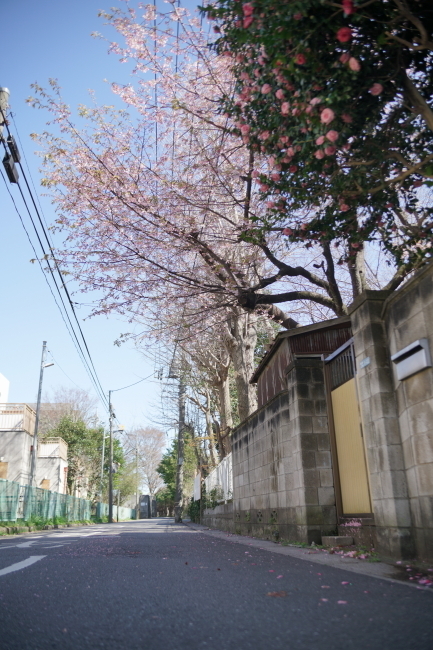 DSC00727+1.JPG