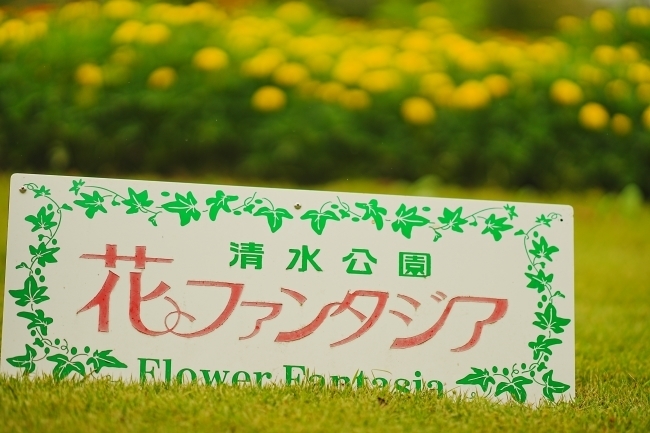DSC00753.jpg