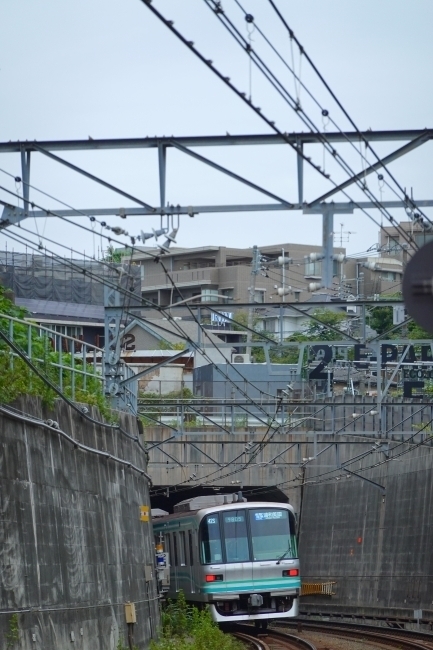 DSC01285.JPG