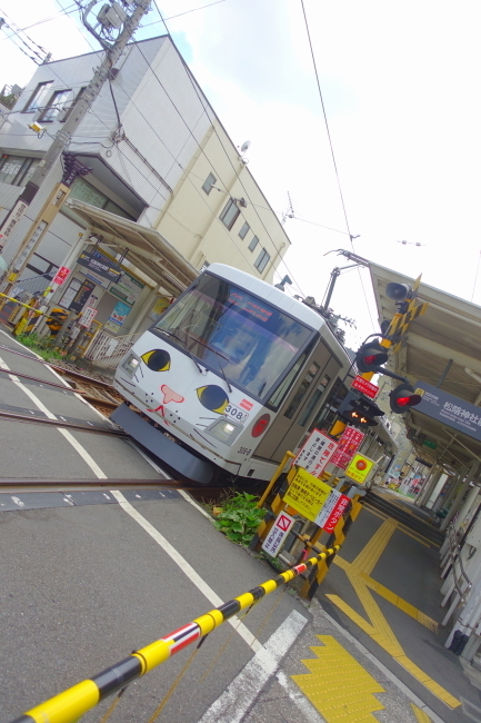 DSC01299.JPG