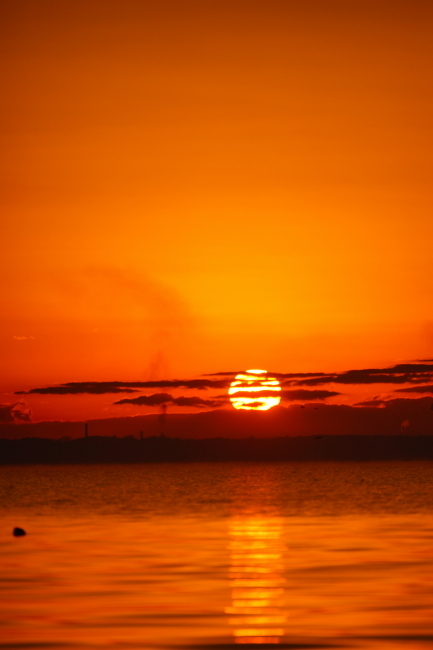 DSC01331-1+.JPG