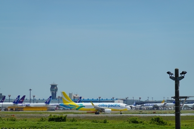 DSC01335.jpg