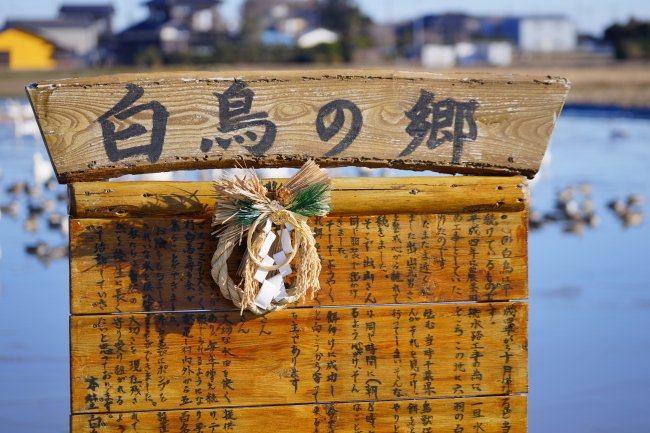 DSC01359-1+.JPG