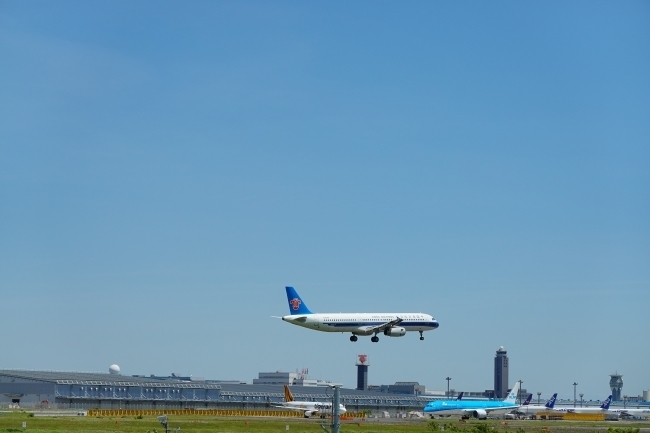 DSC01472.jpg
