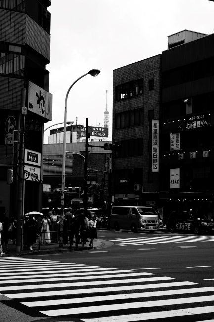 DSC01533.jpg