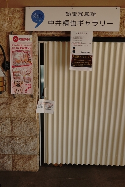 DSC01898.JPG