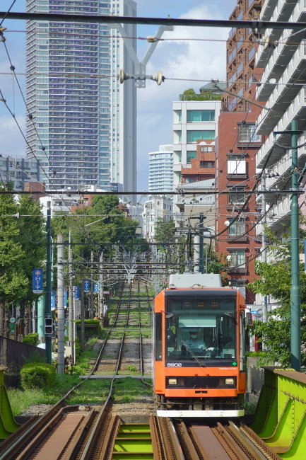 DSC02092.JPG