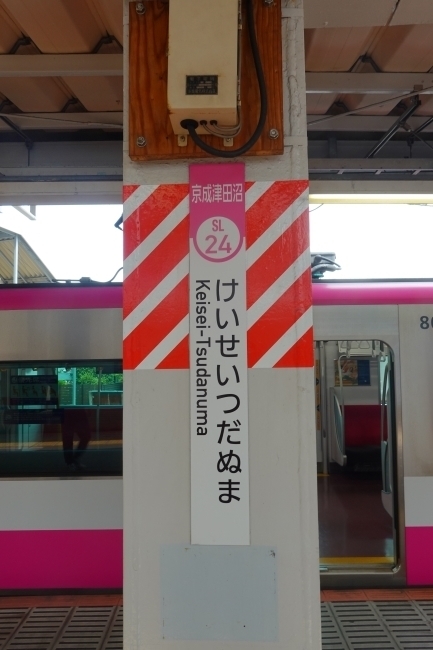 DSC02155.JPG