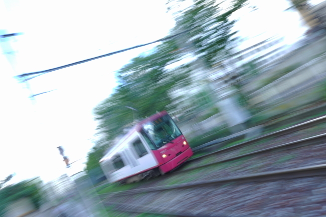 DSC02177.JPG