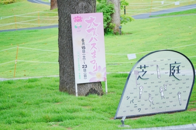 DSC02385.JPG
