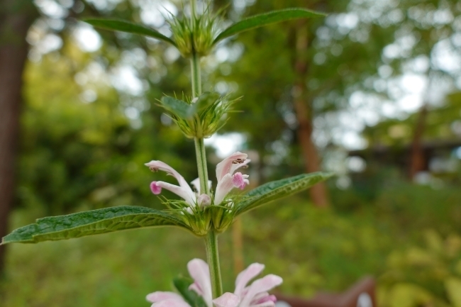DSC02596.JPG