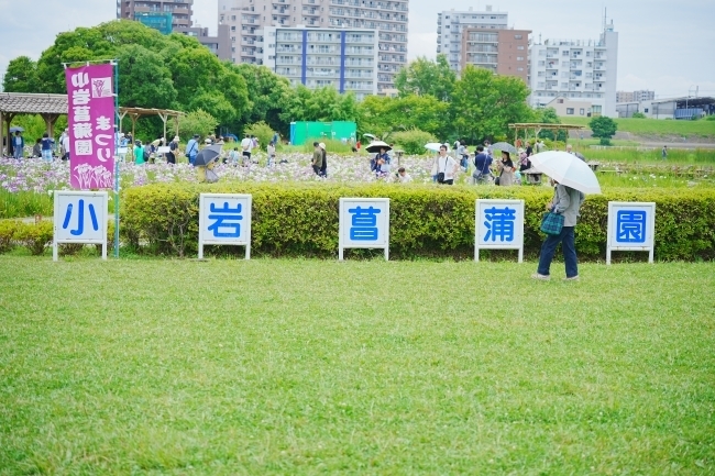 DSC02602.JPG