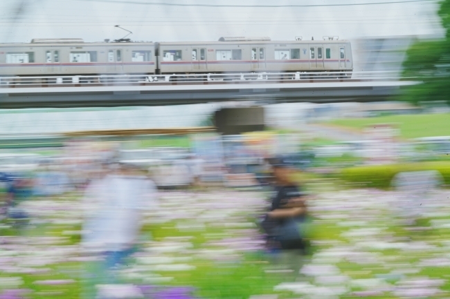 DSC02701.JPG