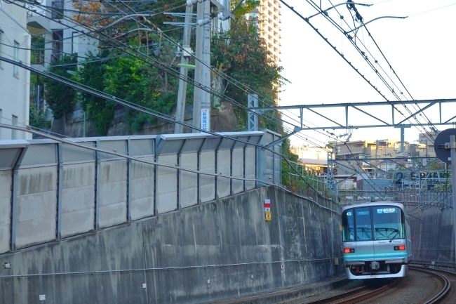 DSC02726.JPG