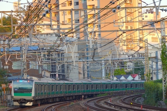 DSC02729.JPG