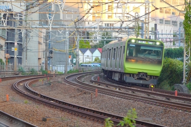 DSC02737.JPG