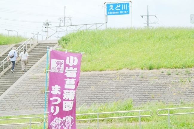 DSC02845.JPG