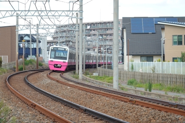DSC02858.JPG