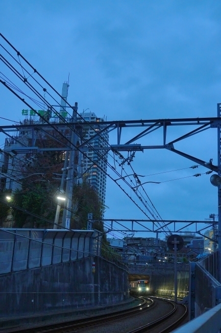 DSC02997.JPG